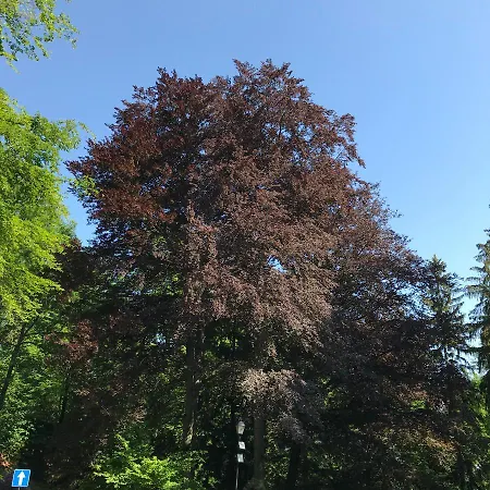 リゾート パラック パウリナム