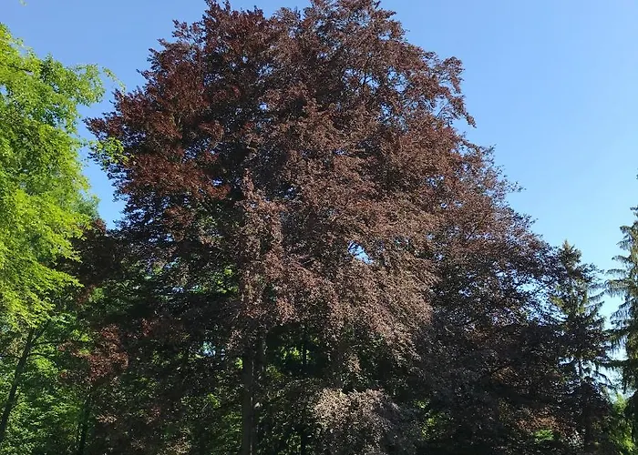 Üdülőközpont Palac Paulinum