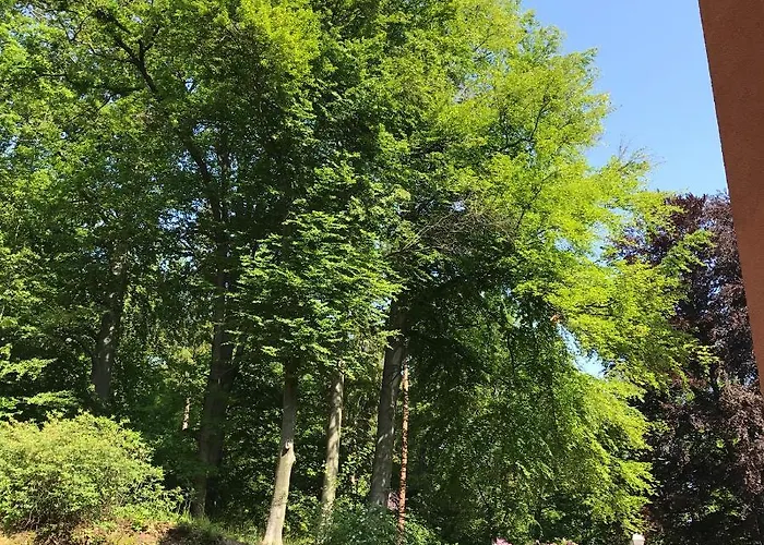 Üdülőközpont Palac Paulinum Jelenia Góra